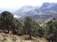 Sierra de Grazalema